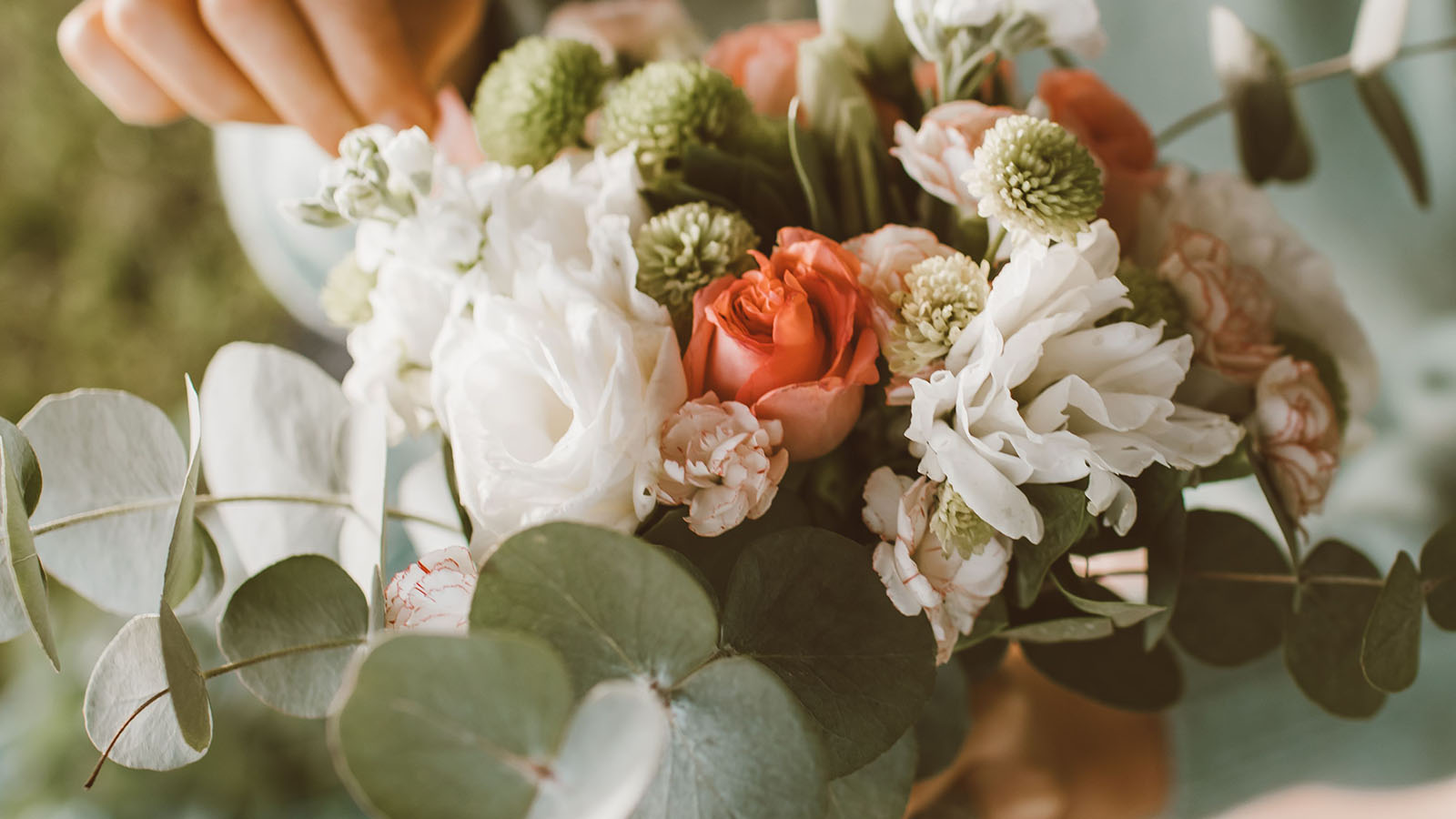 Close-up of a florist’s hands arranging roses and seasonal greenery