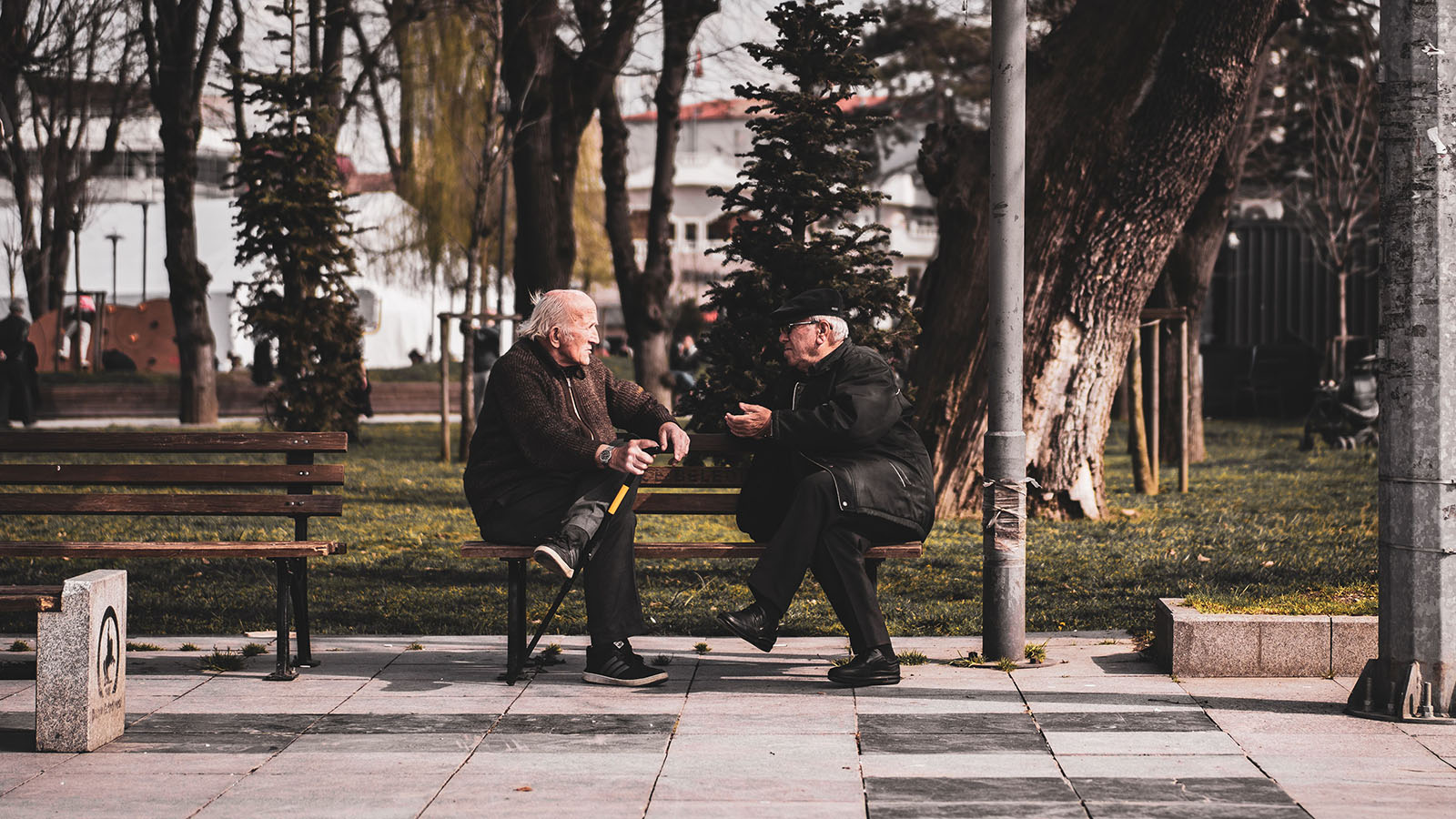 Two older friends talking together on a park bench beneath the trees