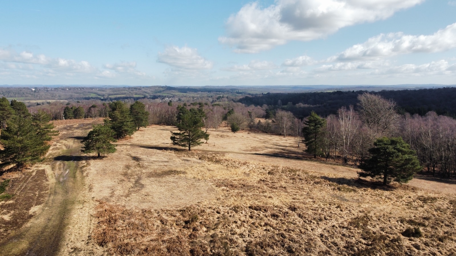 Rolling countryside across the Sussex Weald